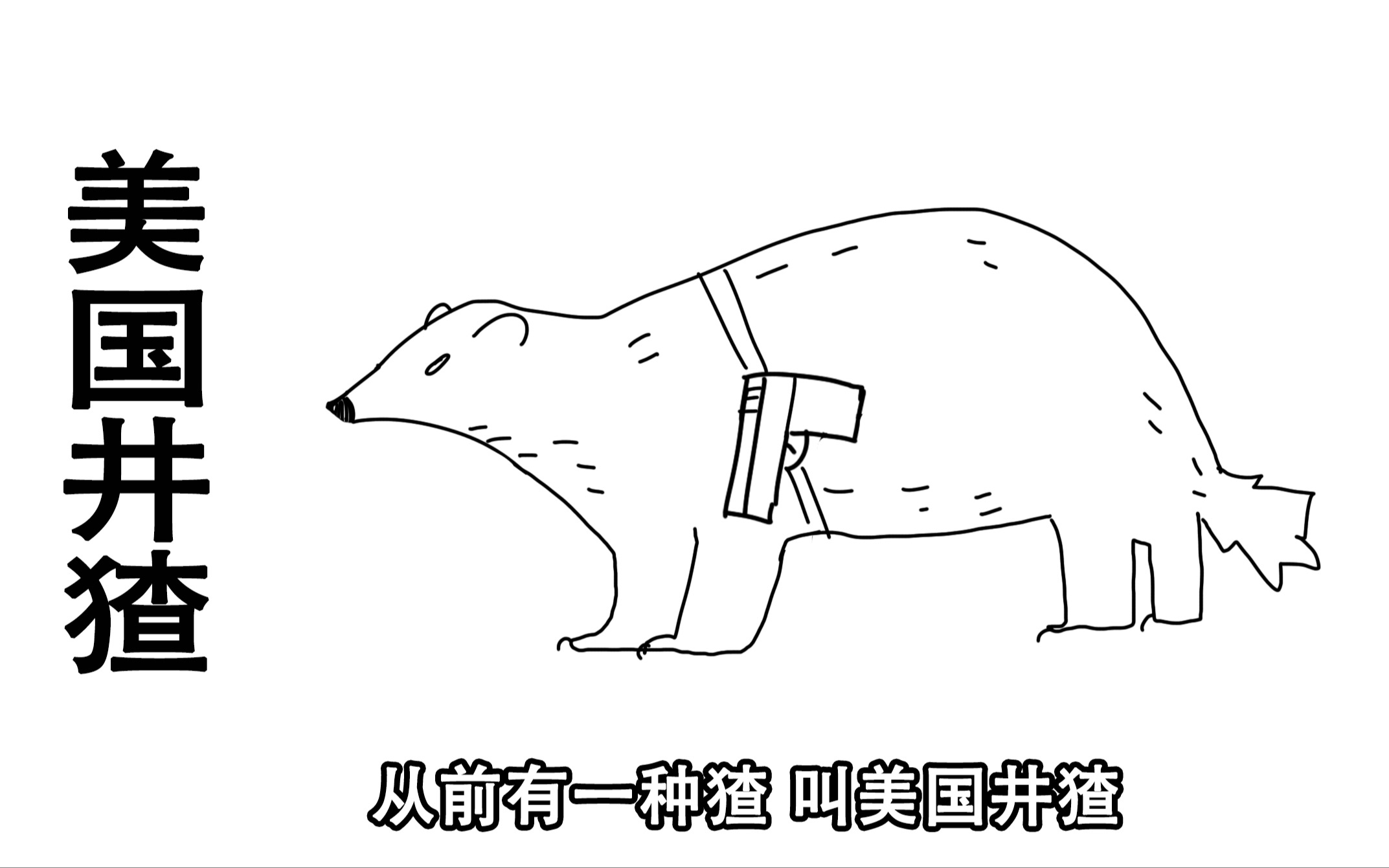 从前有一种猹叫美国井猹