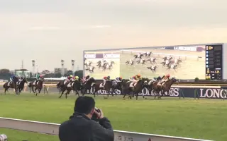 東京競馬場 搜索结果 哔哩哔哩 Bilibili