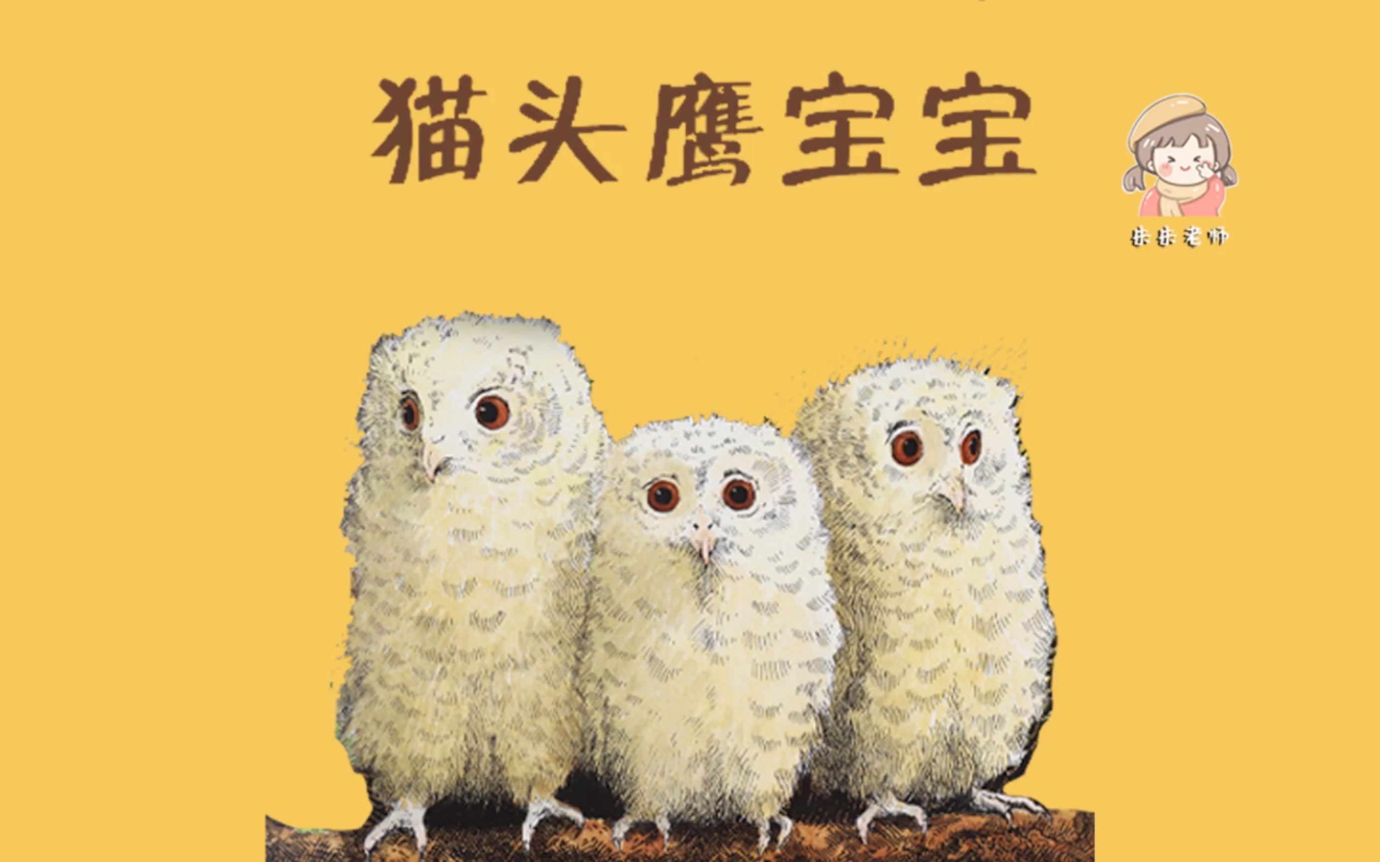 《猫头鹰宝宝》/《小猫头鹰》缓解分离焦虑/解除恐惧和担忧/情绪管理