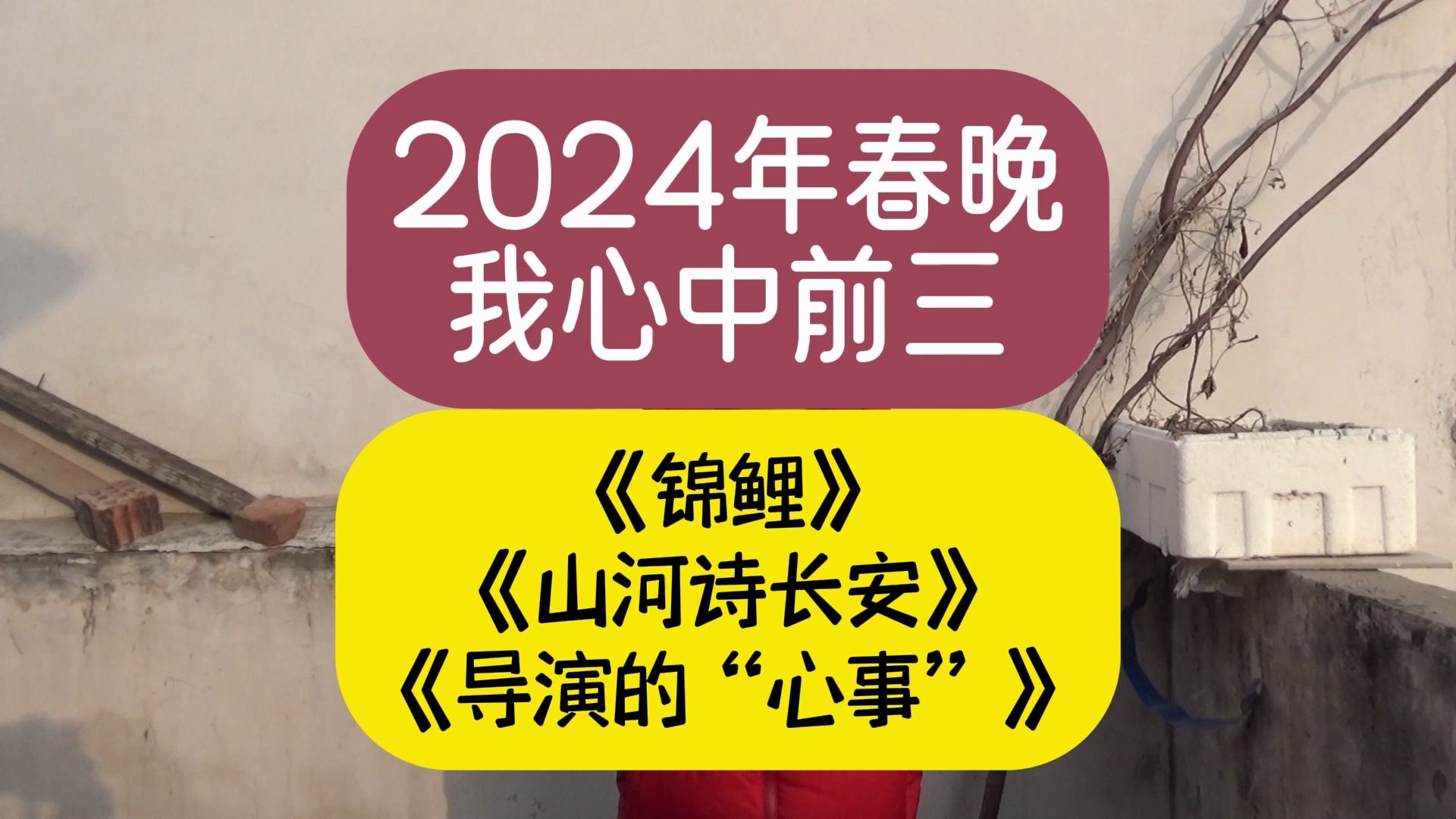 [图]2024年春晚我心中前三《锦鲤》《山河诗长安》《导演的“心事”》