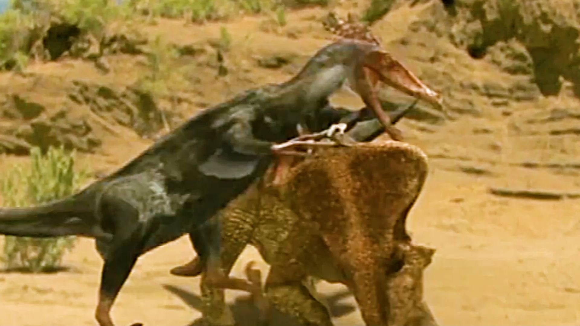 迅猛龙狩猎原角龙!