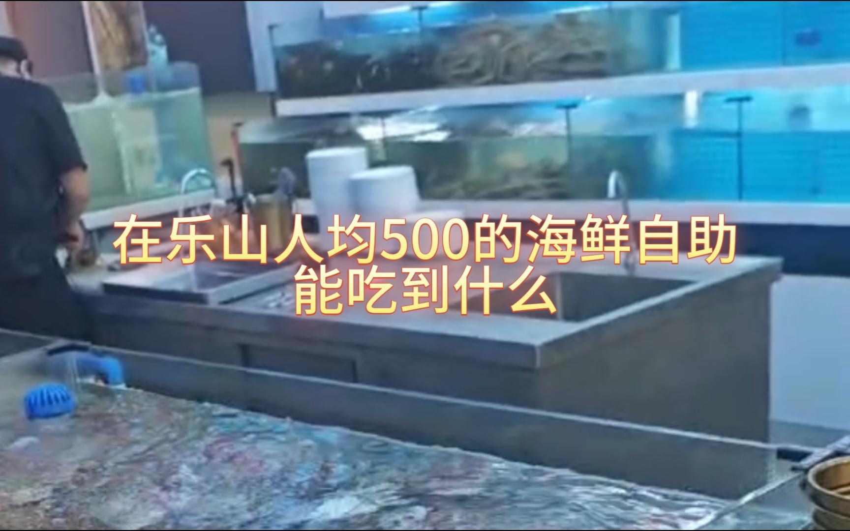在乐山人均500的海鲜自助能吃到什么