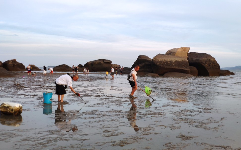 厦门珍珠湾赶海日记