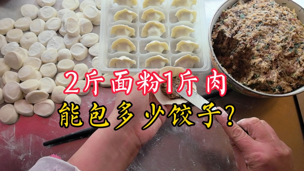 2斤面粉1斤肉能包多少水饺?饺子店主实测分享,太实用了!哔哩哔哩bilibili