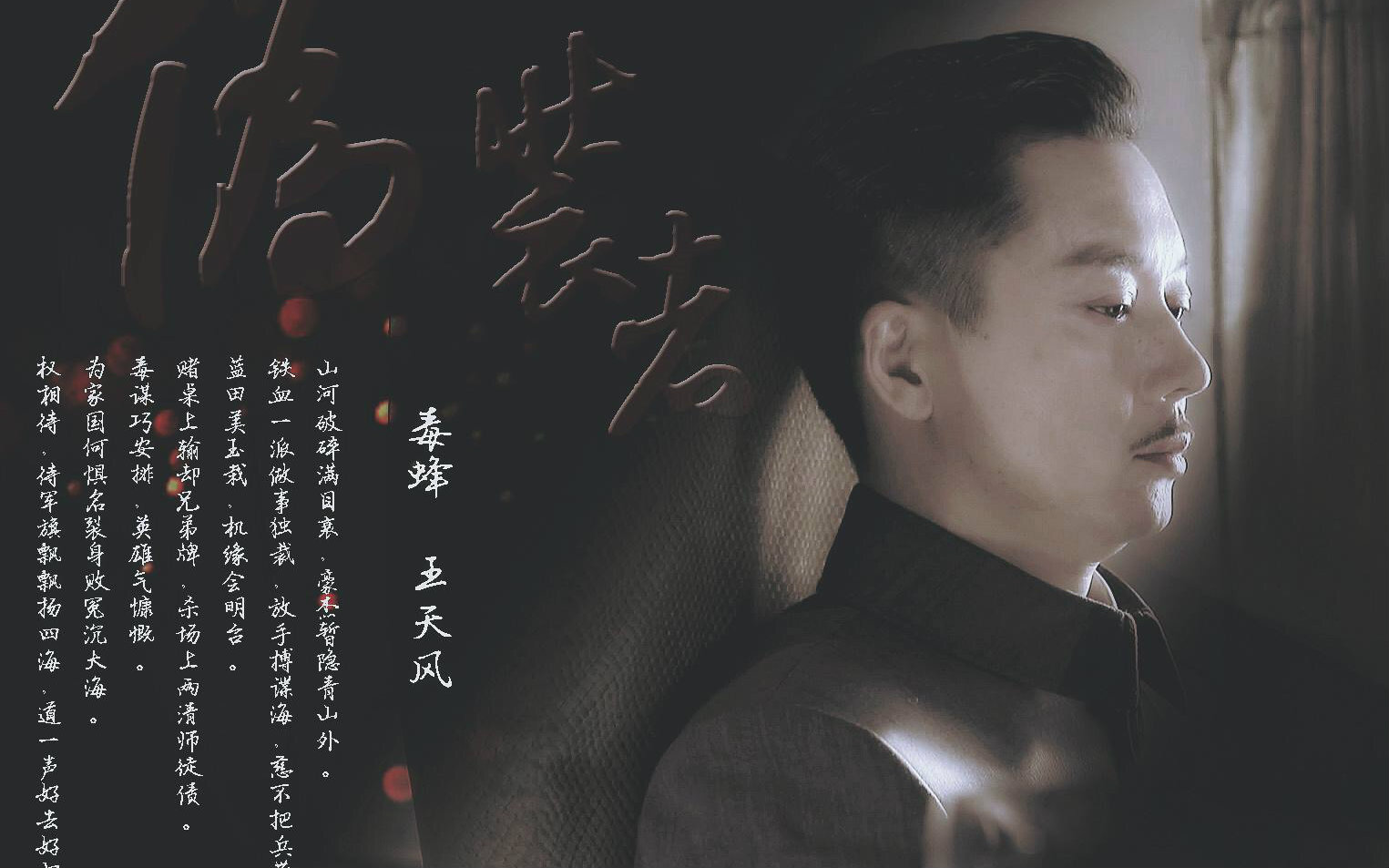 王天风个人向palladio