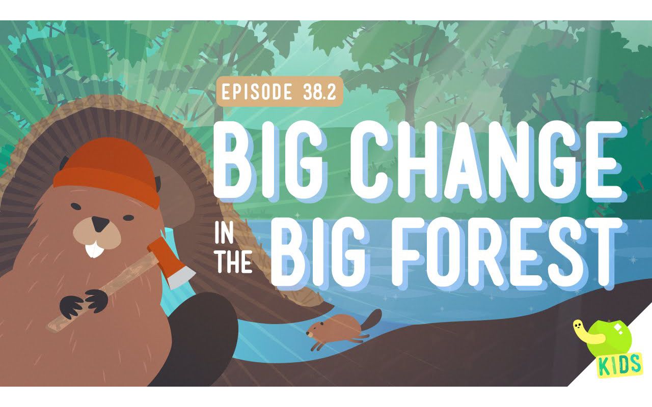 [图]Big Changes in the Big Forest - Crash Course Kids #38.2