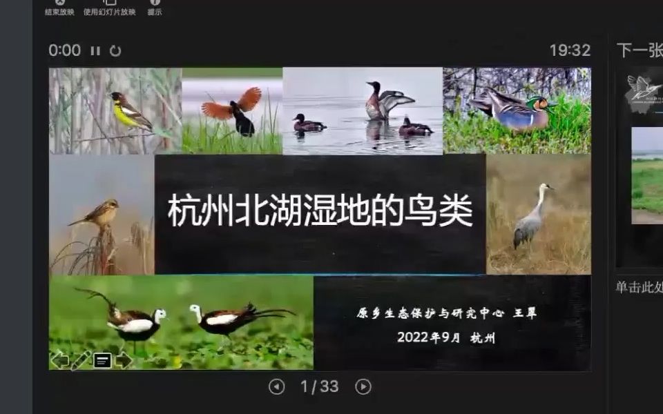 王翠:杭州余杭北湖湿地的鸟类哔哩哔哩bilibili