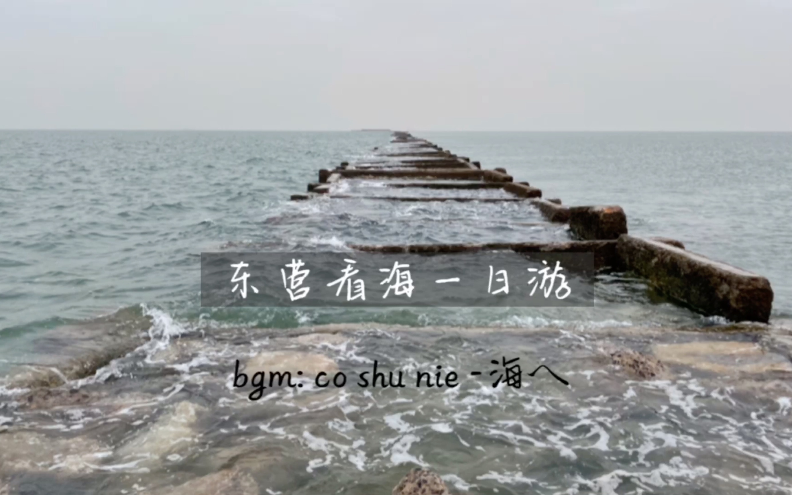 东营看海一日游（bgm:Co Shu Nie-海へ)