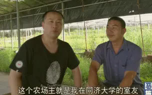 Download Video: 马督工现身说法 头脑一热回家种地大概率是背负一身债又回到城市打工