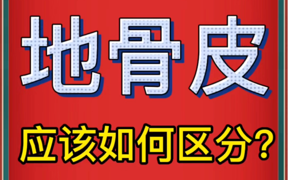 中药材批发市场地骨皮价格行情哔哩哔哩bilibili