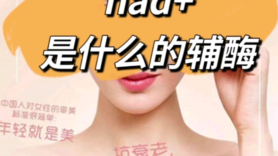 nad+是什么的辅酶,nad的功效与作用,科普哔哩哔哩bilibili