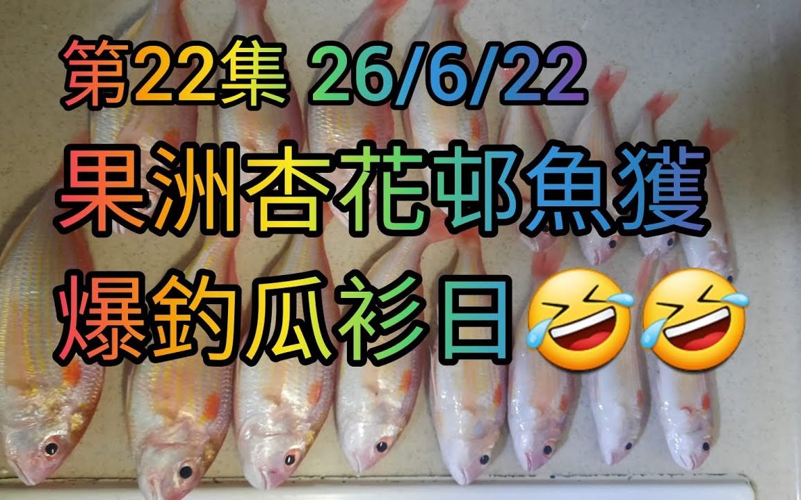 [图]【香港艇釣精華】第22集-果洲杏花邨釣魚Vlog｜爆釣瓜衫｜池仔｜九棍｜石狗公｜斑類｜26-06-2022 #釣魚 #香港釣魚 #果洲釣魚 #杏花邨釣魚