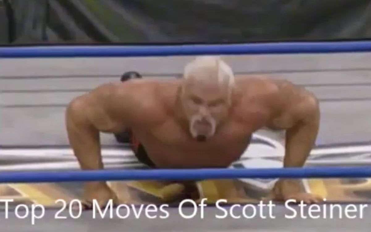 <摄魂>肌肉老爹Scott Steiner 20招式合集哔哩哔哩bilibili