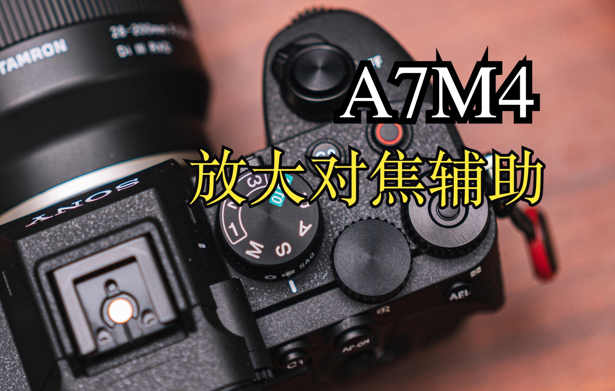 索尼a7m4放大对焦辅助让对焦更准确_哔哩哔哩_bilibili