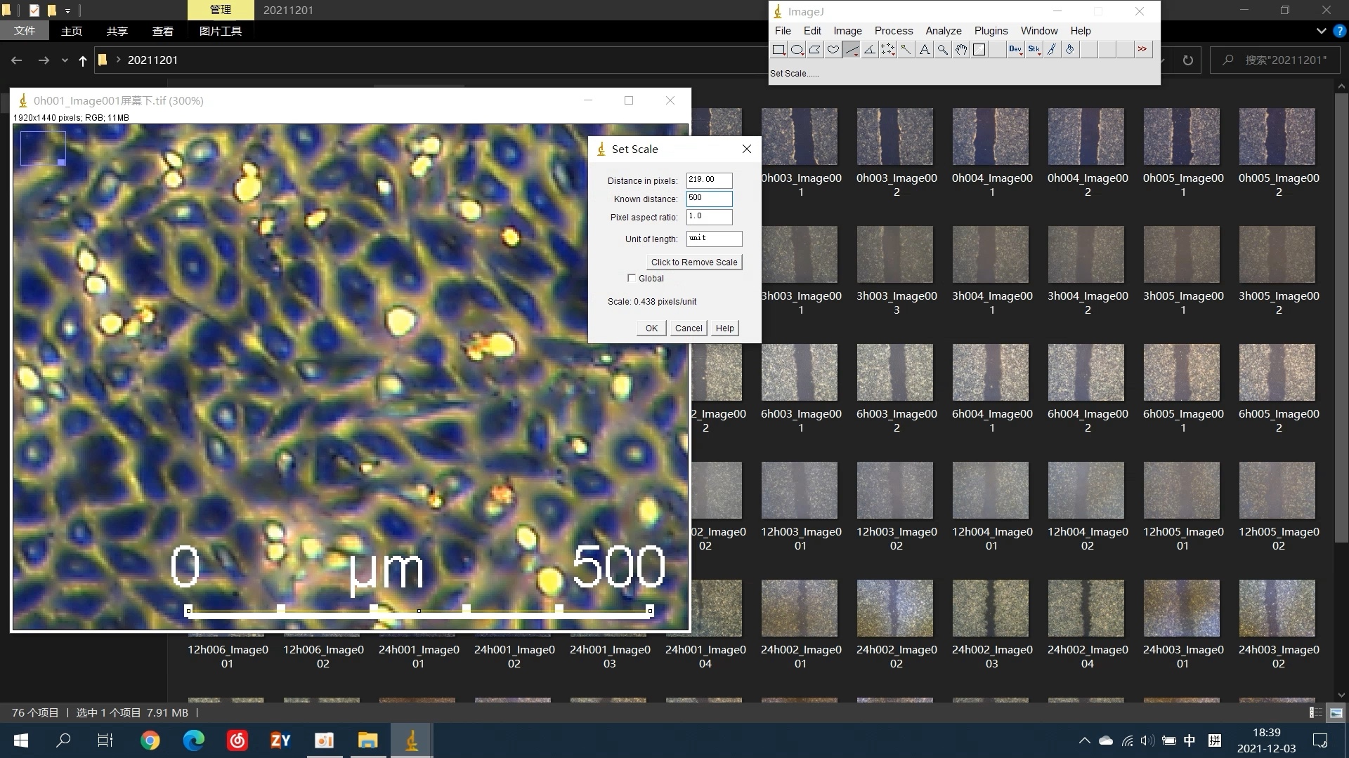 ImageJ测量划痕实验面积哔哩哔哩bilibili