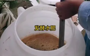 Download Video: 菜籽饼，豆渣发酵水肥