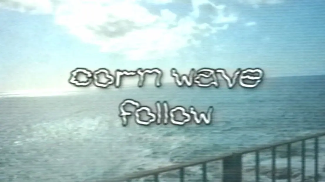 corn wave - follow_哔哩哔哩_bilibili