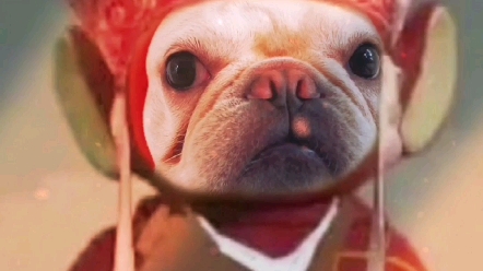 最近好流行,咱们狗狗也跟风一个q版小唐僧呀