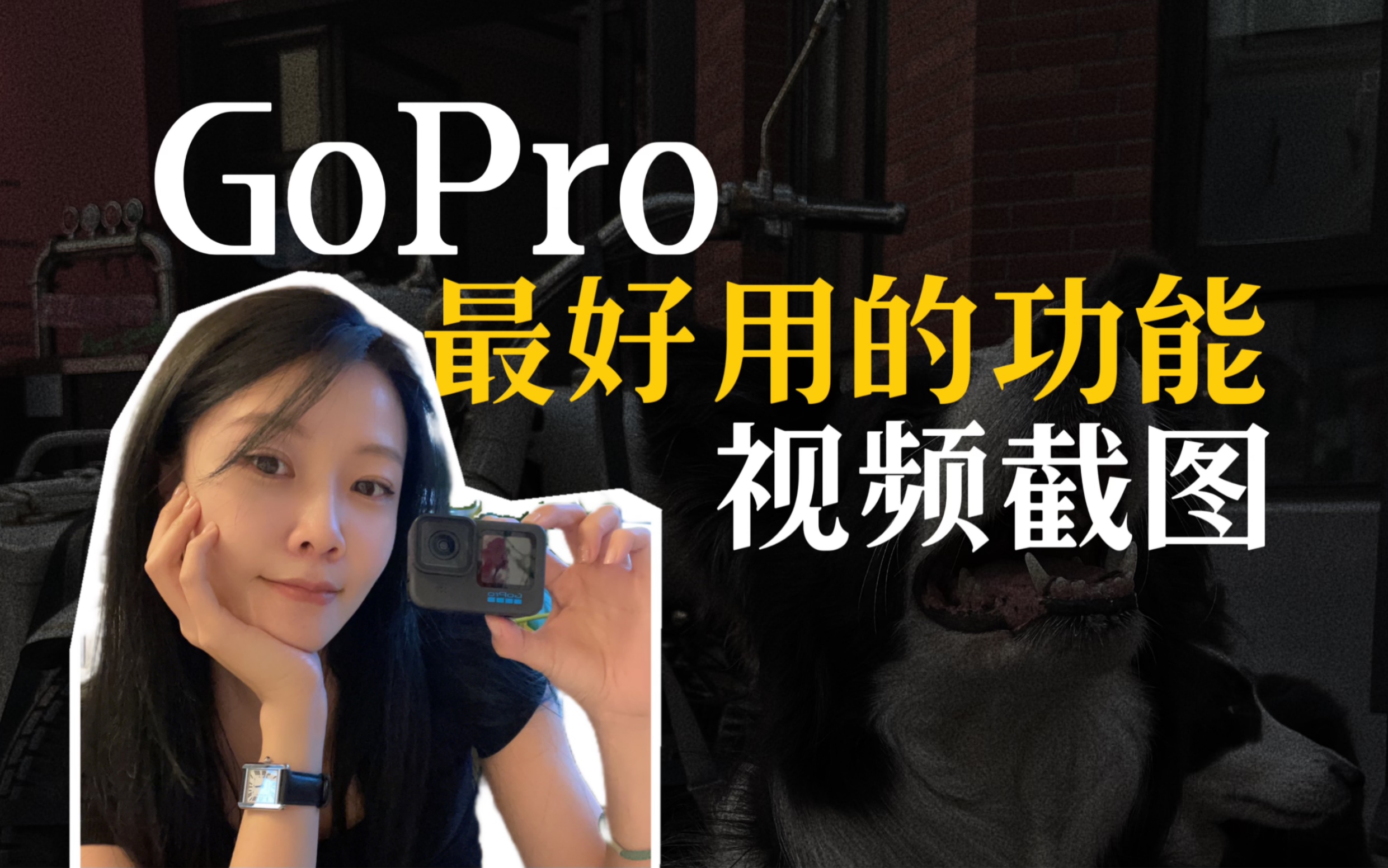 一分钟学会GoPro视频截图!边录视频边拍照~哔哩哔哩bilibili