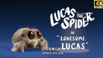 【完整版】小蜘蛛卢卡斯Lucas the Spider 超萌超可爱儿童早教动画（中英双语字幕）