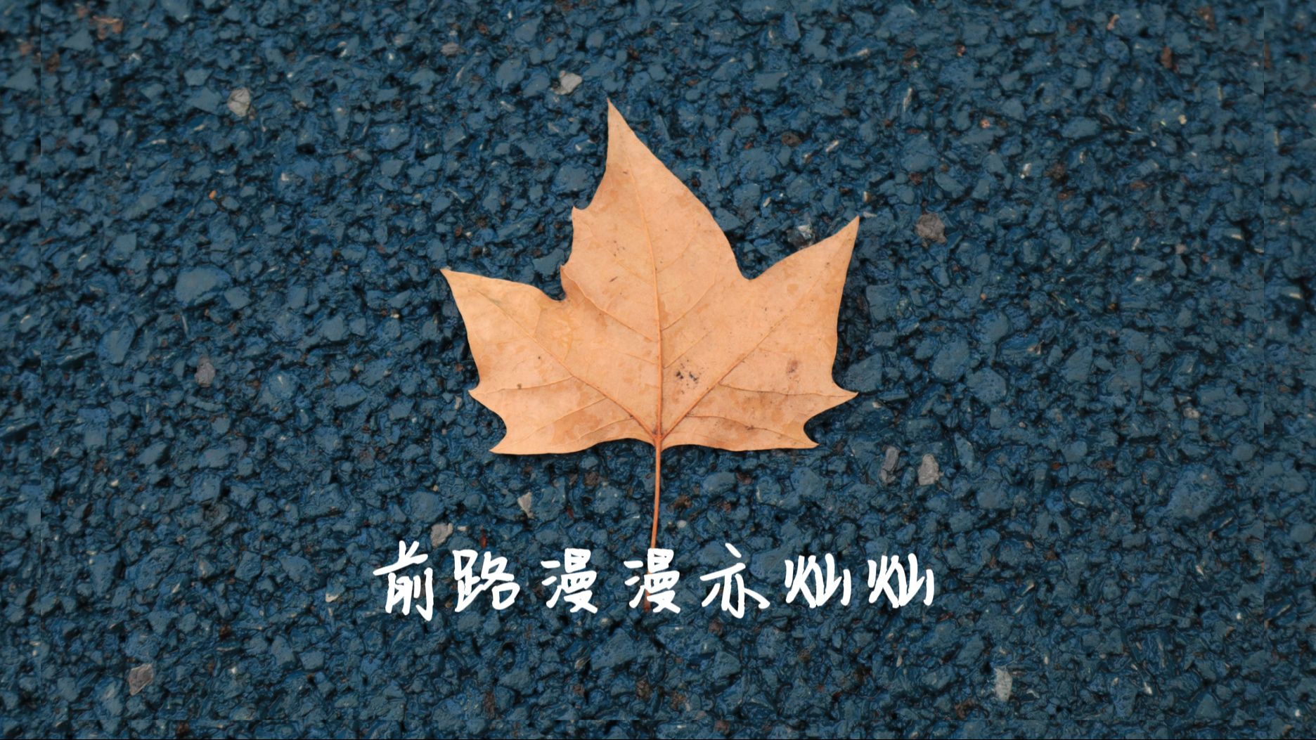 前路漫漫亦灿灿 感恩所有,承蒙不弃.2024 传新会更好!