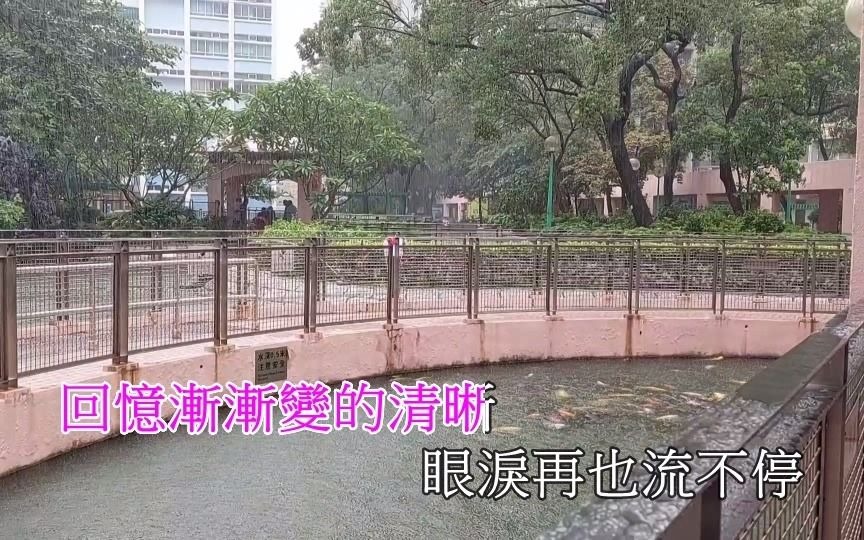 [图]【等風等雨等不到你】~愛你用盡了全身力氣