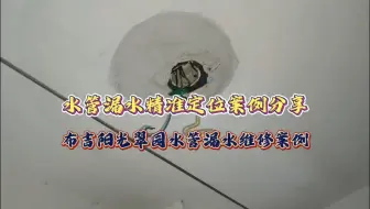 漏水检测精准定位案例分享，布吉阳光翠园水管漏水维修案例