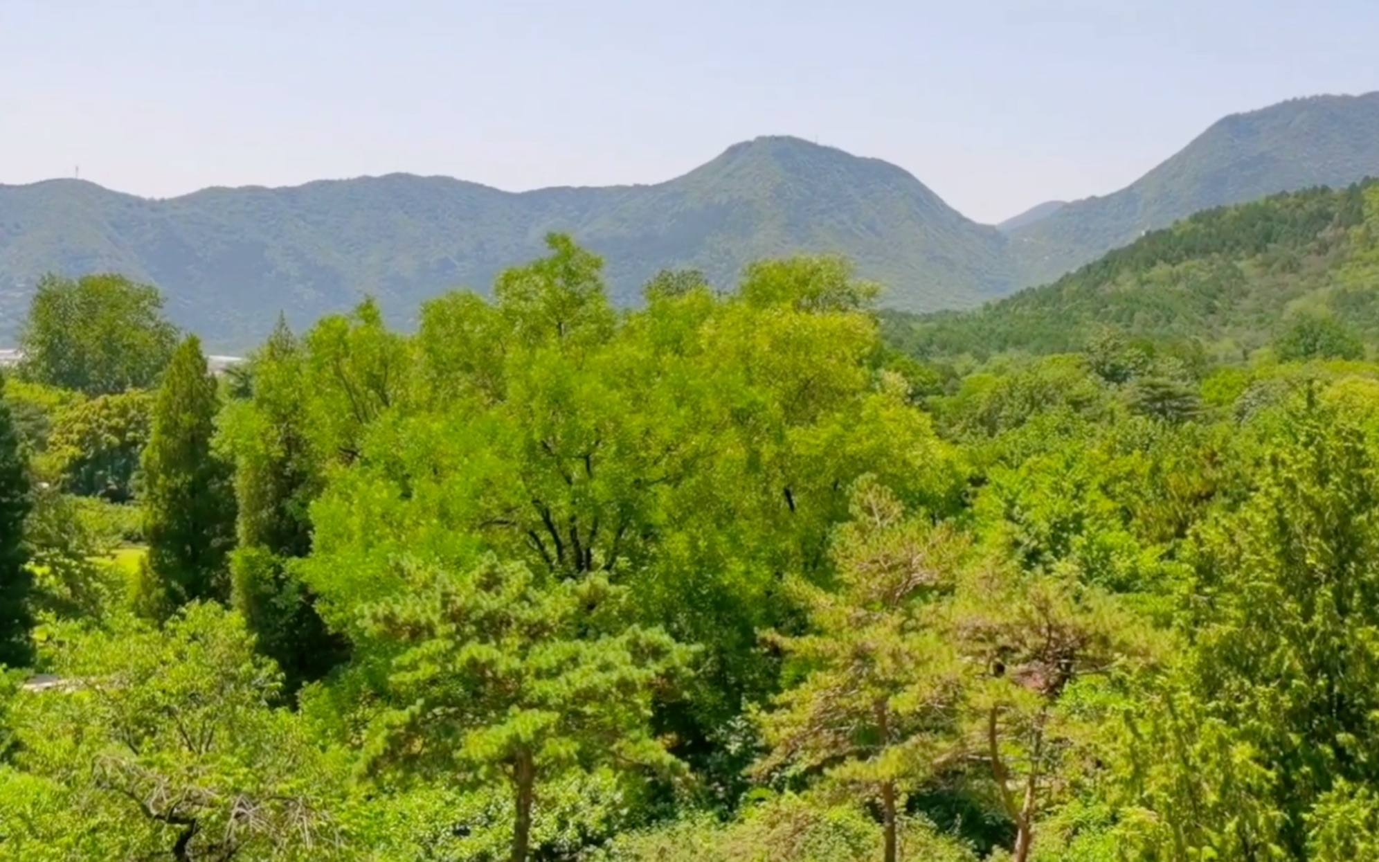 [图]三个儿子成为院士，在北京植物园能够探寻到他们的教育秘诀？