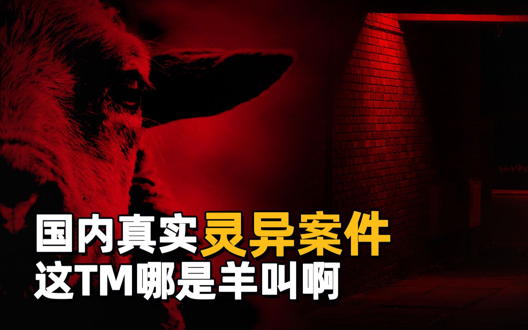 国内真实灵异案件,这TM哪是羊叫啊|真实灵异对话#134-怡楽播客-怡楽播客-哔哩哔哩视频
