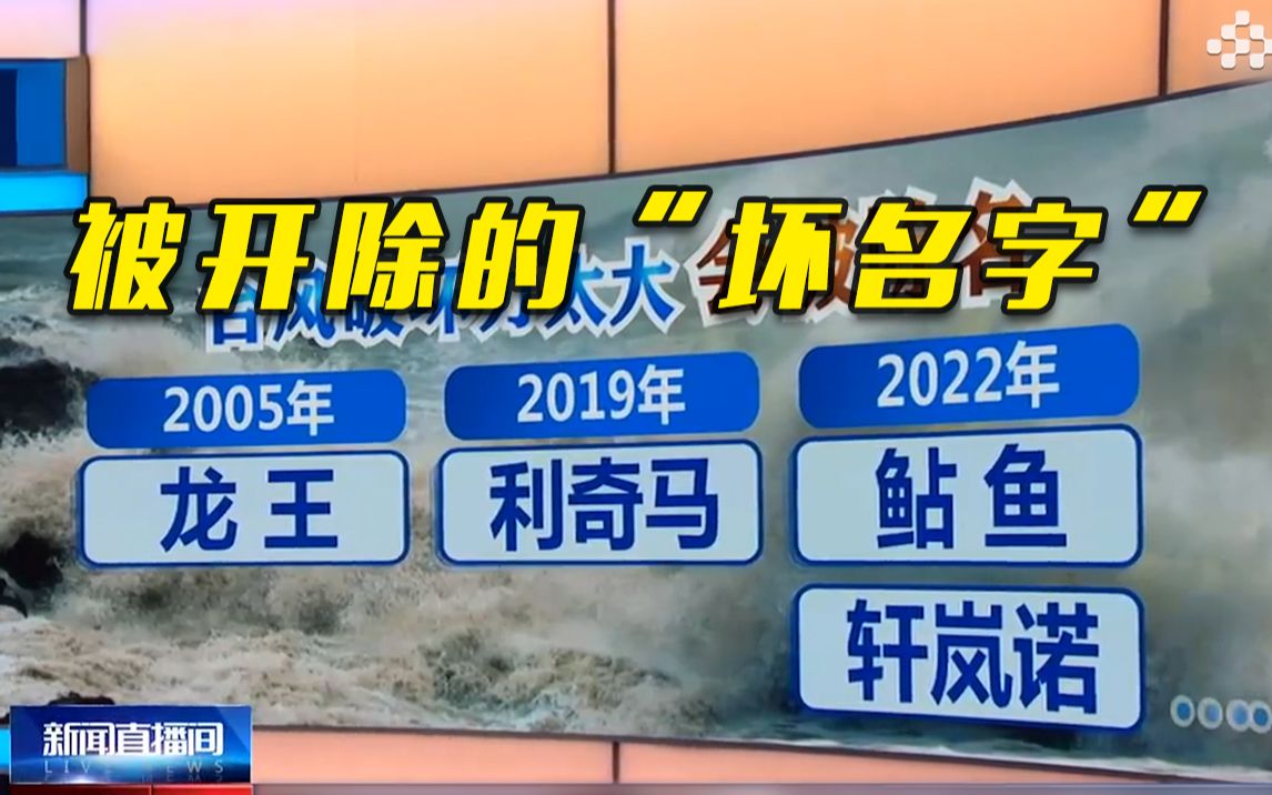 杜苏芮、海葵……台风名字谁起的?为什么有些台风名还会被开除?哔哩哔哩bilibili