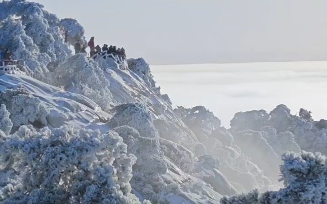 黄山雪景云海哔哩哔哩bilibili