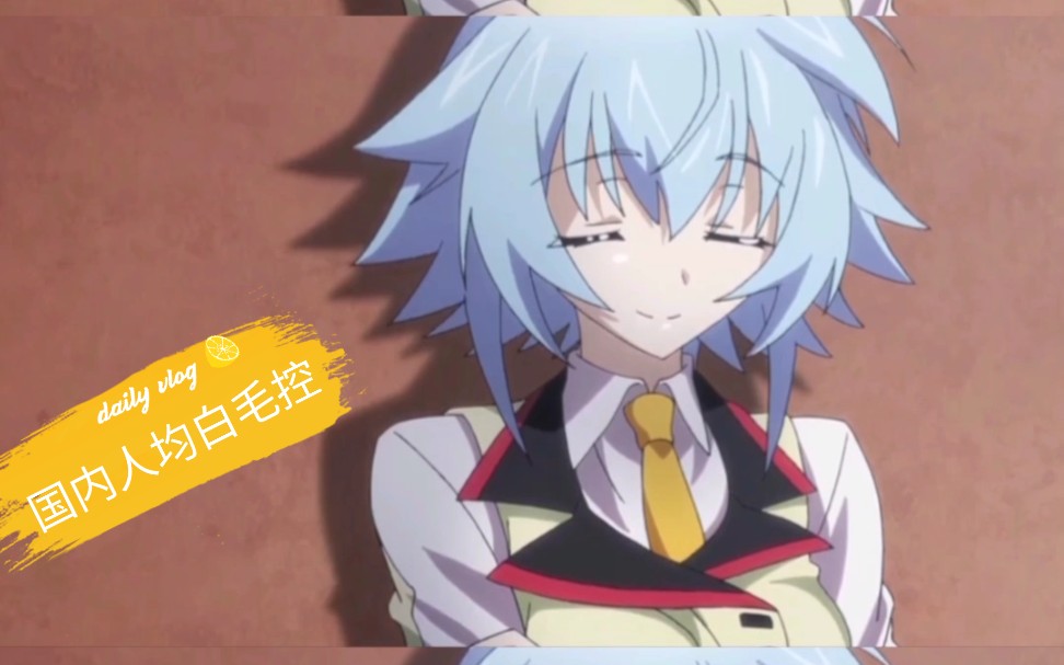 更识楯无学姐无限斯特拉托斯