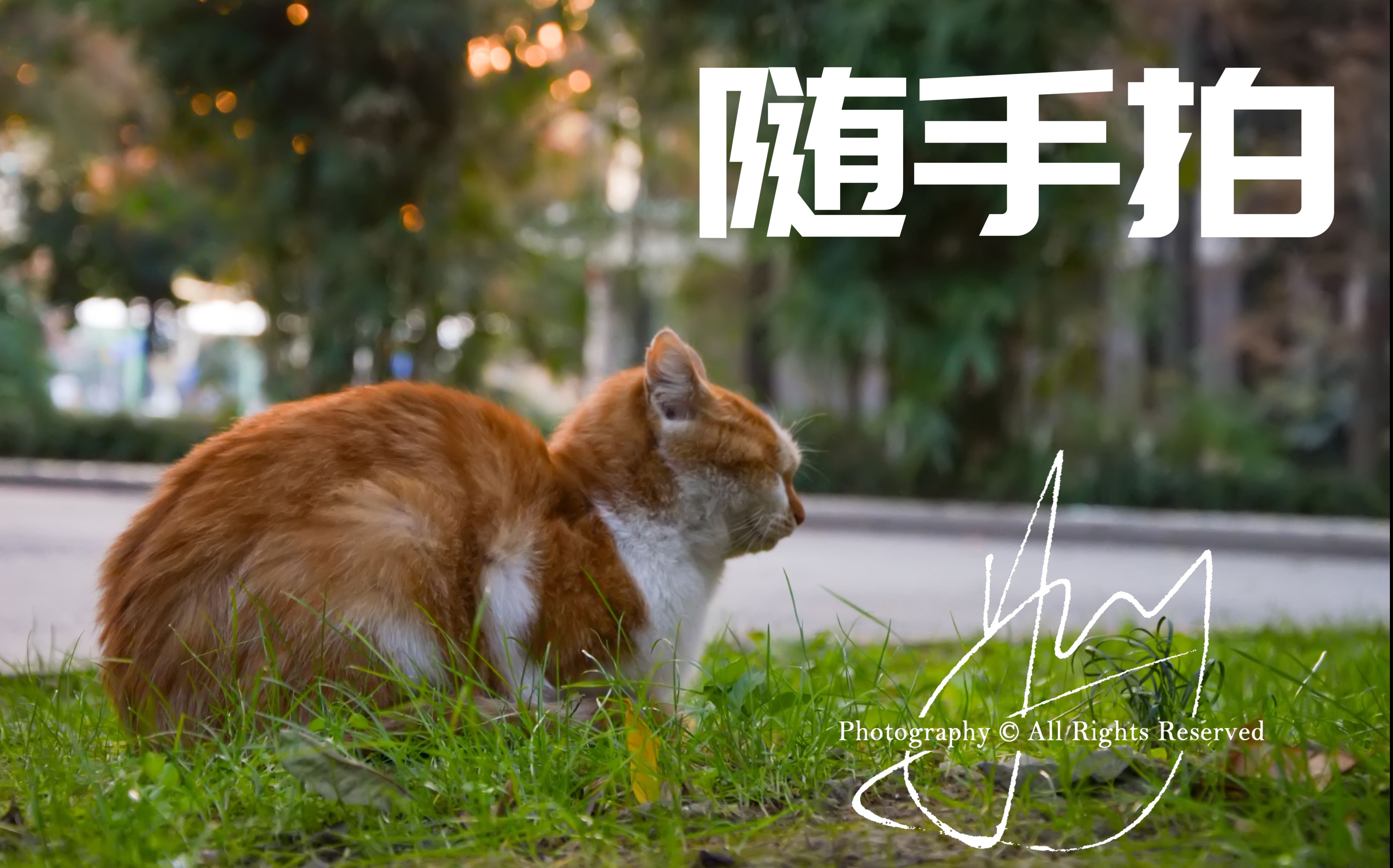 校园随手拍