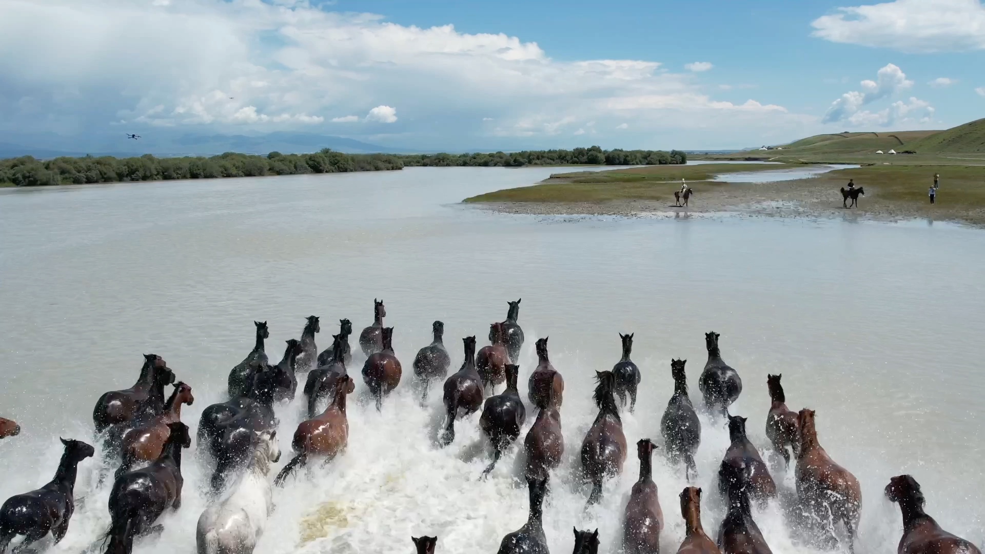 新疆伊犁昭苏天马浴河