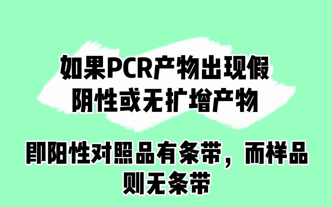 如果PCR产物出现假阴性(即阳性对照品有条带,而样品则无条带),该怎么处理?#PCR#科研实验哔哩哔哩bilibili