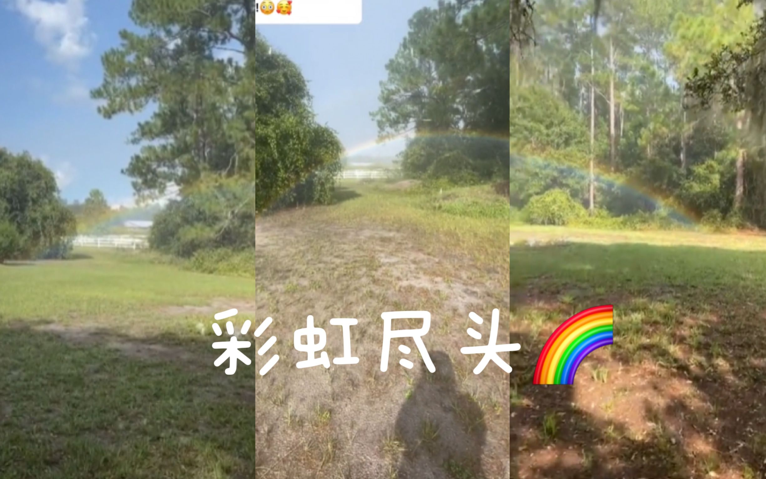 [图]希望彩虹的尽头，是好运🌈