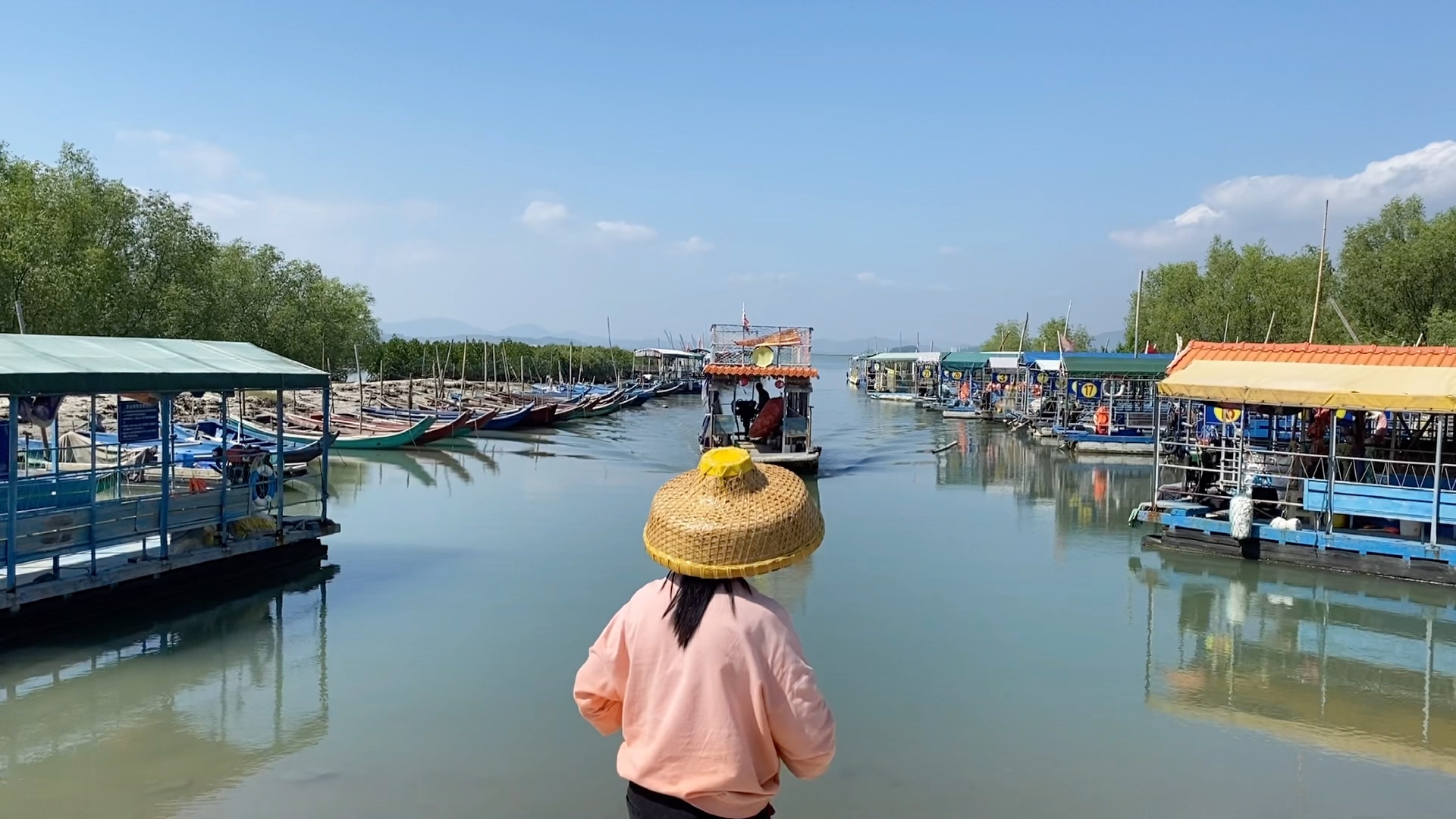 盐洲岛白沙村红树林出海之五年后故地重游