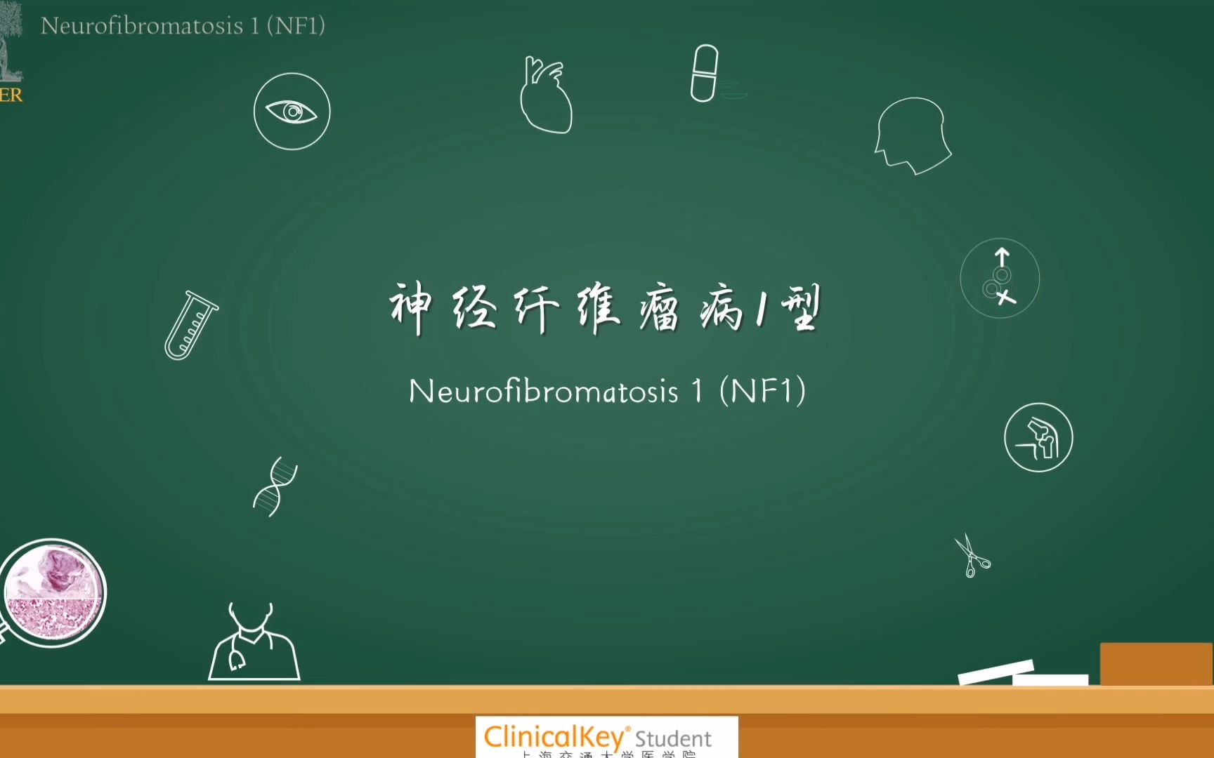 【PBL医学脱口秀】神经纤维瘤病I型李悦华哔哩哔哩bilibili