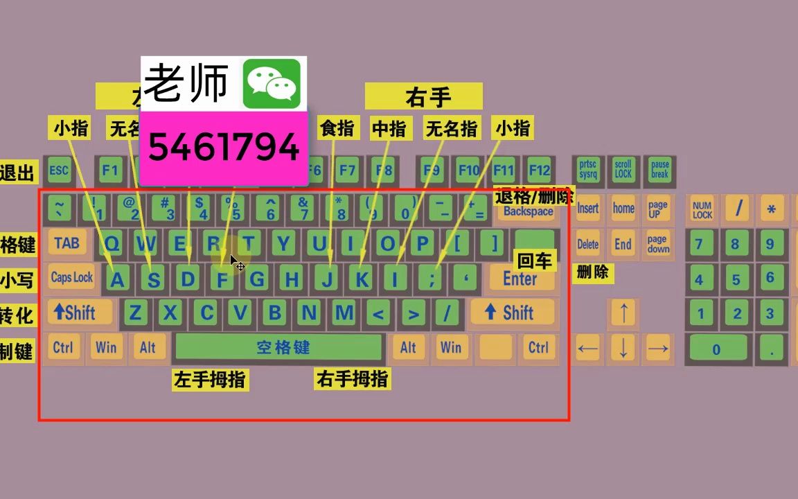 零基礎快速學拼音學五筆打字教程,鍵盤打字快速入門