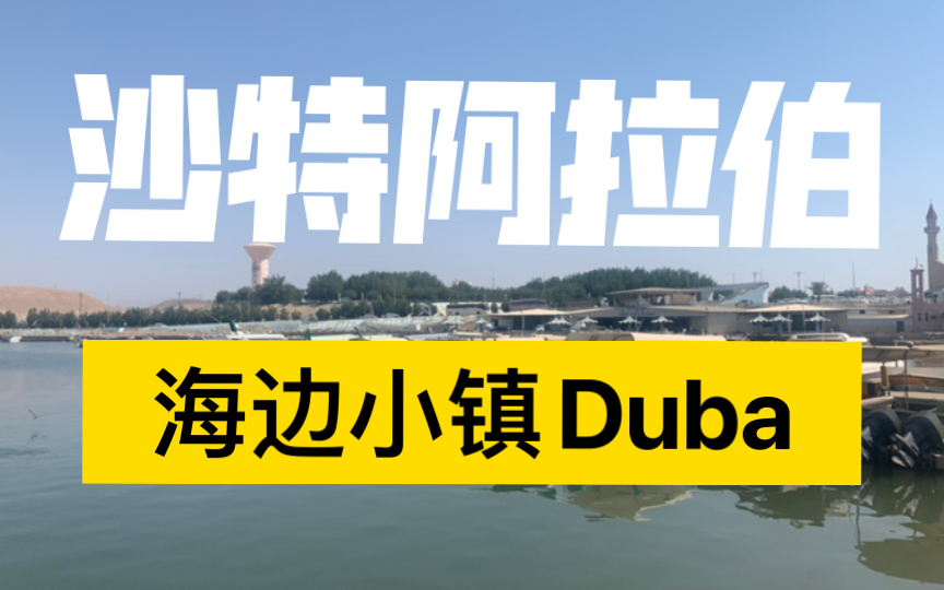 沙特阿拉伯海边小镇Duba哔哩哔哩bilibili