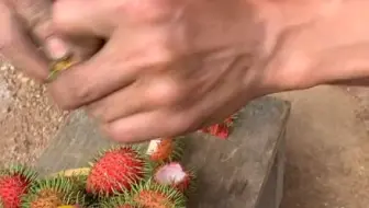 水果