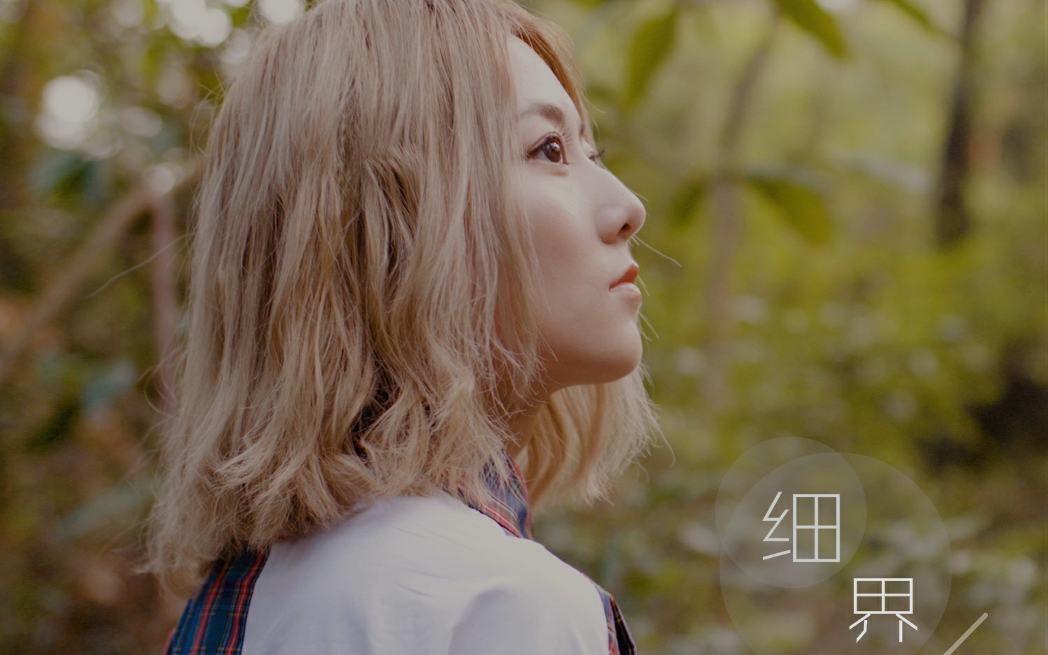 【阿细】粤语新歌《细界》mv