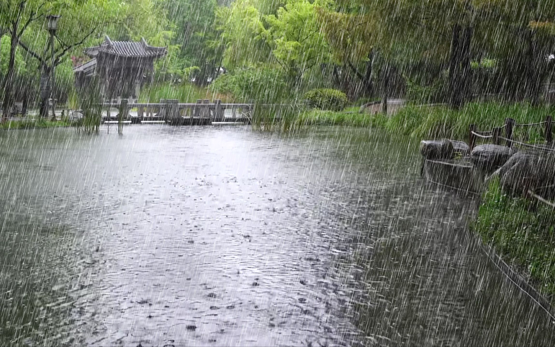 [图]安静的池塘里下着雨声，周围没有人。 白噪音忘记失眠入睡