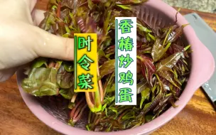 下载视频: 时令菜香椿炒鸡蛋，每年这个时候总要吃上几回