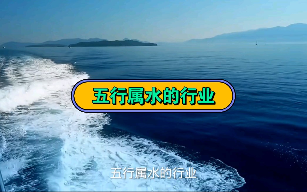 五行属水的行业哔哩哔哩bilibili