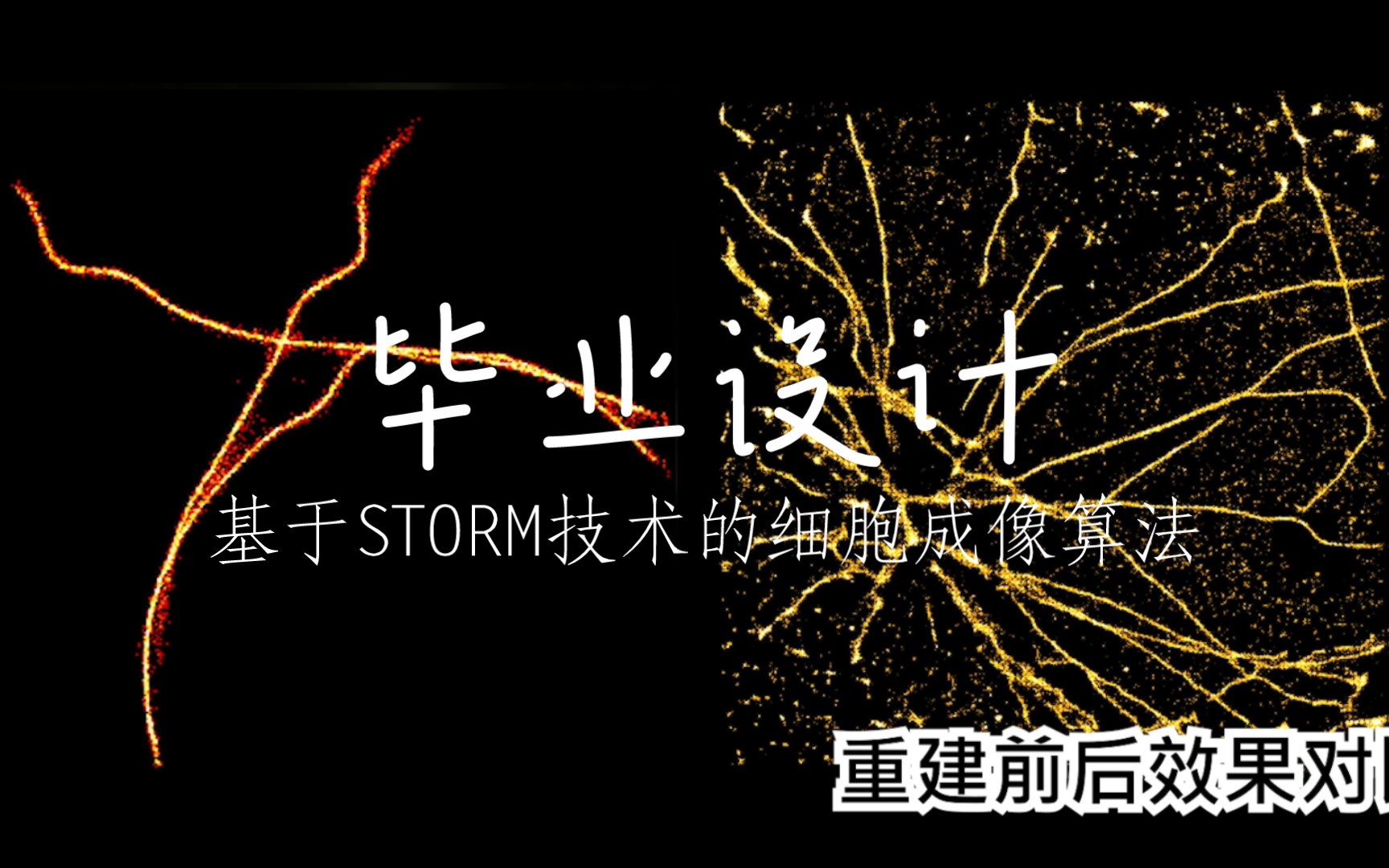 [图]【毕业设计】基于STORM技术的细胞成像算法的设计与实现