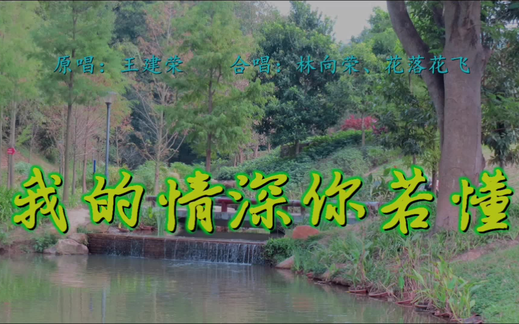 王建荣的抒情歌曲《我的情深你若懂》,合唱:林向荣,花落花飞