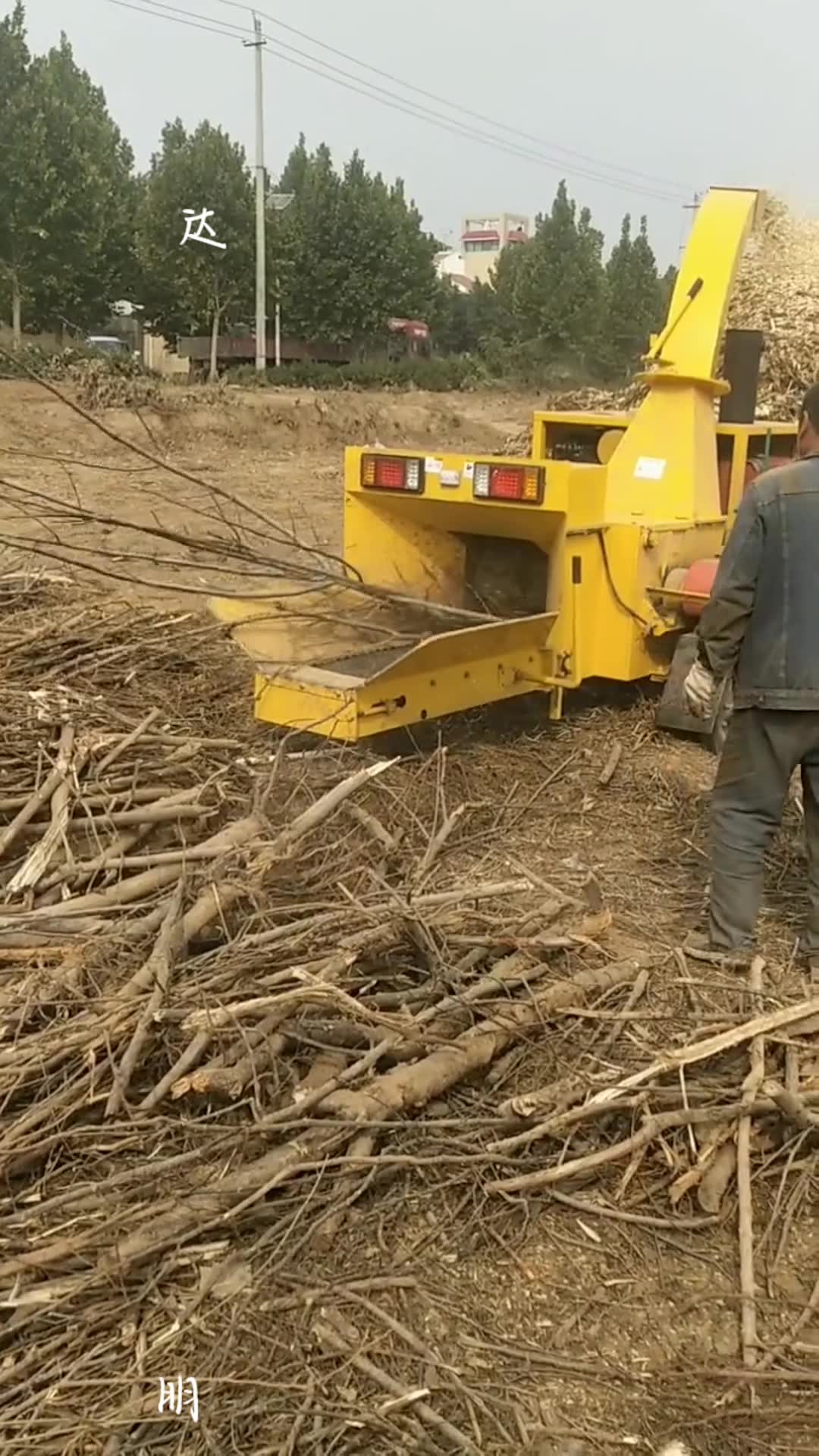 用粉碎機把樹枝粉碎後,送去電廠,鍋爐廠!