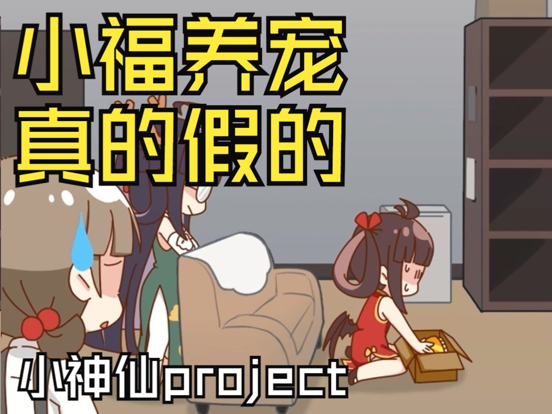 【小神仙project】小福养宠,真的假的哔哩哔哩bilibili