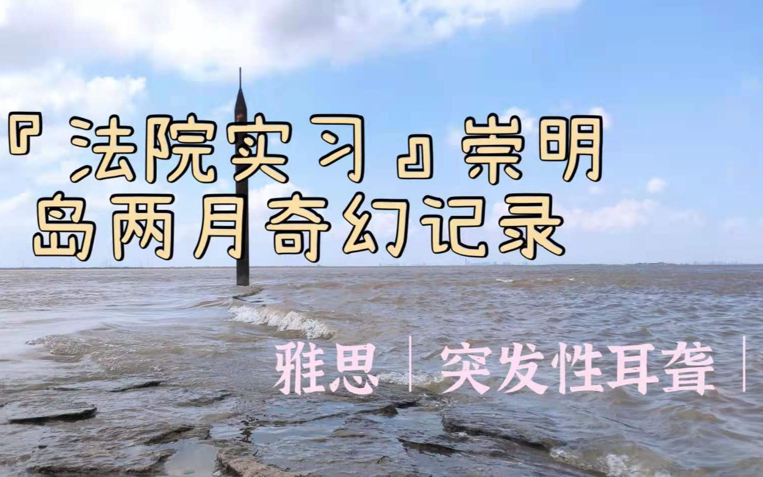 【法院实习】华政法学生崇明法院暑期实习记录 (附带雅思+突发性耳聋..)哔哩哔哩bilibili